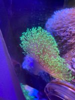 IMG_3683.jpeg