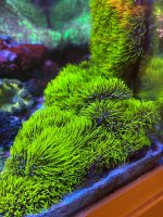 IMG_5689.jpeg