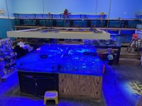 IMG_1782.jpeg