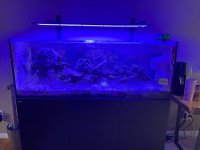 IMG_2831.jpeg