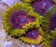 Screenshot 2025-04-16 123336.jpg Screenshot 2025-04-16 123336.jpg