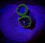 Screenshot 2025-04-16 133011.jpg Screenshot 2025-04-16 133011.jpg