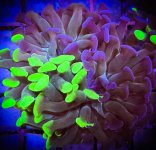 Screenshot 2025-04-16 133221.jpg Screenshot 2025-04-16 133221.jpg