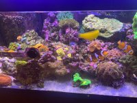 IMG_4106.jpeg