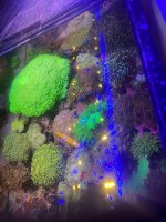 IMG_4112.jpeg