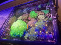 IMG_4111.jpeg