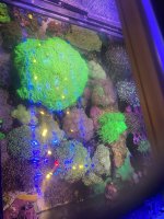 IMG_4110.jpeg