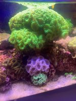 IMG_4113.jpeg