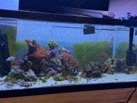 IMG_4601.jpeg