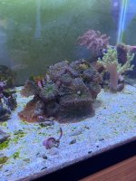 IMG_4597.jpeg