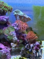 IMG_4598.jpeg
