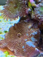 IMG_4596.jpeg