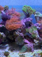 IMG_4599.jpeg