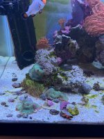 IMG_4600.jpeg