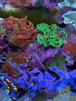 IMG_4593.jpeg