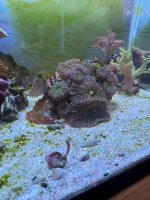 IMG_4590.jpeg