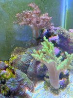 IMG_4591.jpeg