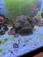 IMG_4589.jpeg