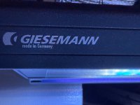 IMG_4603.jpeg