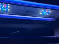 IMG_4602.jpeg