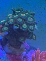 IMG_4418.jpeg