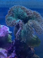 IMG_4232.jpeg