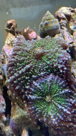 IMG_4142.jpeg
