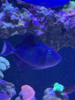 IMG_6507.jpeg