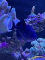 IMG_6505.jpeg