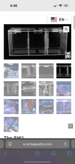 IMG_1155.png