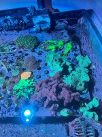 IMG_5658.jpeg