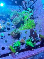 IMG_5657.jpeg