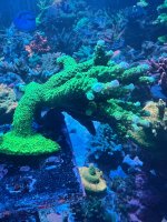 IMG_4769.jpeg