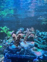 IMG_4764.jpeg
