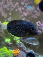 IMG_5369.jpg