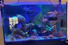 IMG_4520.jpeg