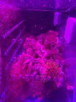 IMG_5476.jpeg