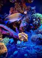 IMG_5053.jpeg