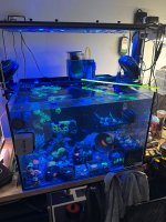 IMG_2300.jpeg