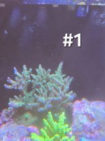 20250430_113332.jpg