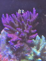 20250430_113304.jpg