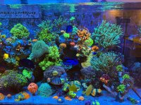 IMG_5510.jpeg
