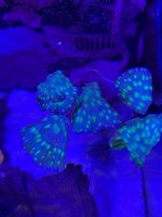 IMG_5829.jpeg