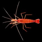 Screenshot 2025-05-08 102410.jpg Screenshot 2025-05-08 102410.jpg