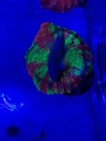 IMG_5145.jpeg