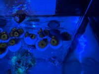 IMG_5146.jpeg