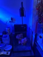 IMG_2832.jpeg