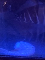 IMG_6872.jpeg