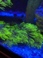 IMG_0383.jpeg