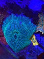 IMG_1459.jpeg
